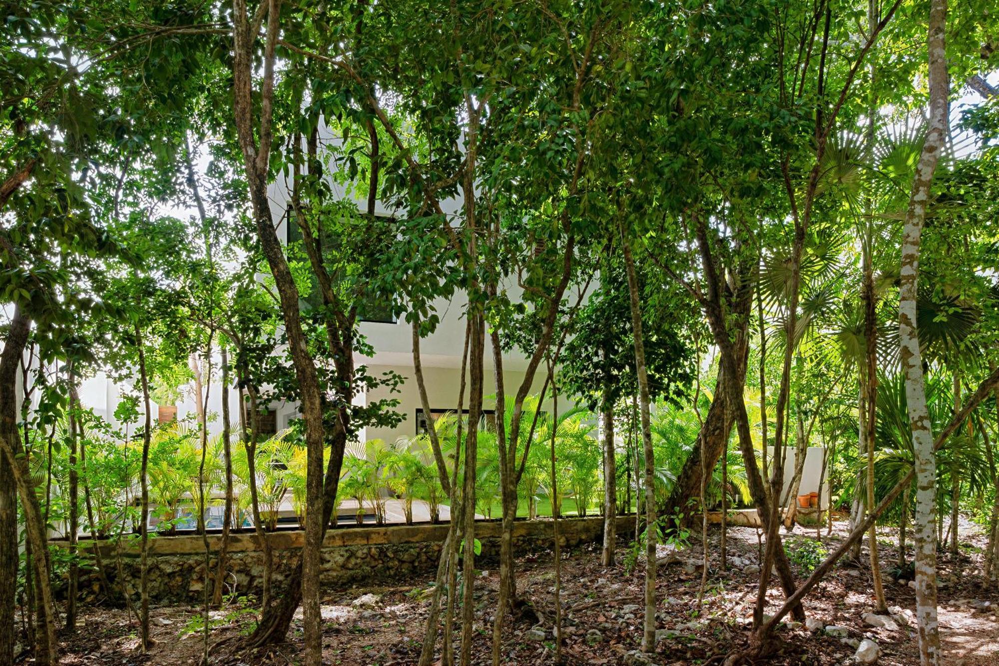 Lux Retreat In Heart Of Nature - Casa Senderos Сasa de vacaciones Playa del Carmen